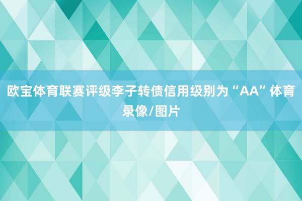 欧宝体育联赛评级李子转债信用级别为“AA”体育录像/图片