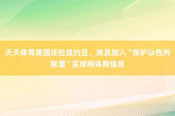 天天体育美国还拉拢约旦、埃及加入“保护以色列联盟”买球网体育信息