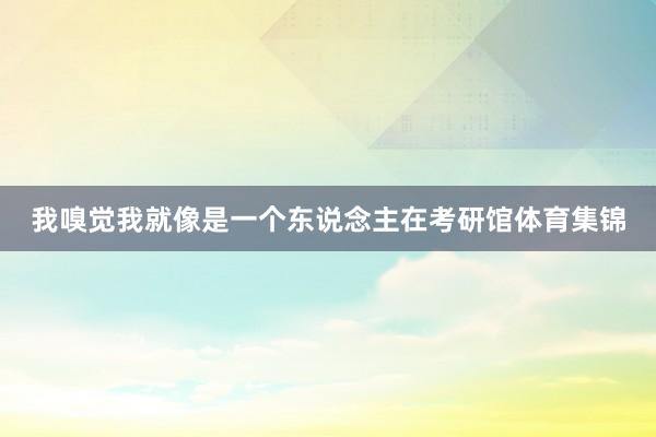 我嗅觉我就像是一个东说念主在考研馆体育集锦