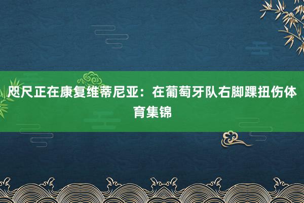 咫尺正在康复维蒂尼亚：在葡萄牙队右脚踝扭伤体育集锦