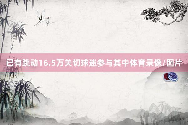 已有跳动16.5万关切球迷参与其中体育录像/图片